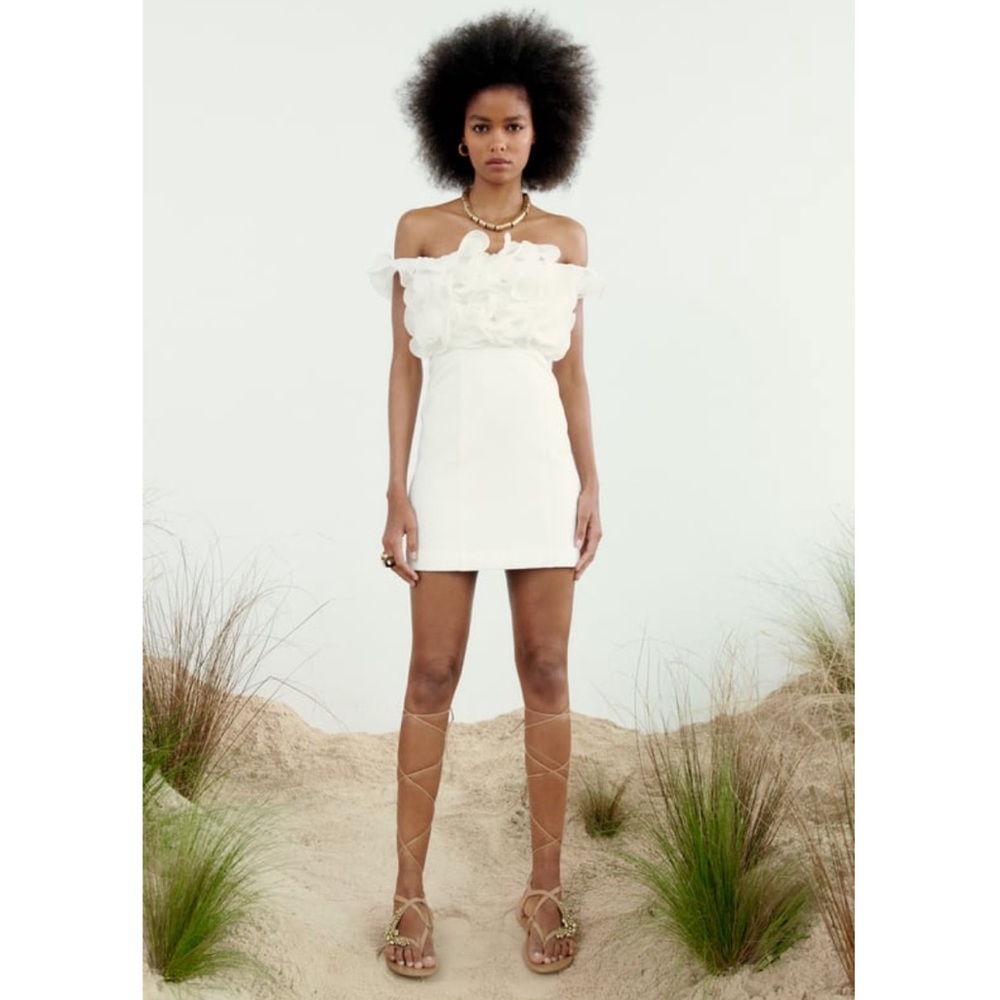 Zara Ruffle Mini Dress